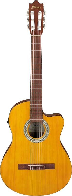 Ibanez GA3ECE Nylon-string Acoustic-electric Guitar - Open Pore Amber — Build quality and design details up close