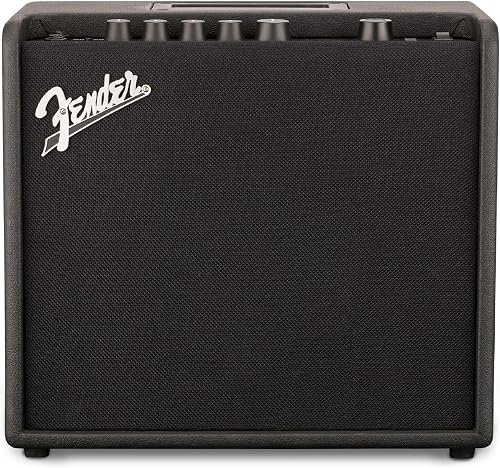 Fender Mustang LT25 Guitar Amplifier, 25-Watt Digital Modeling Combo A — Durability testing under extreme conditions